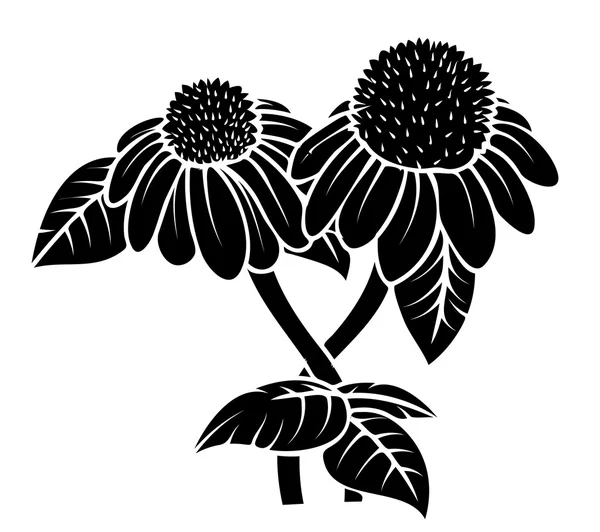 Siyah şekil çiçek tasarım — Stok Vektör