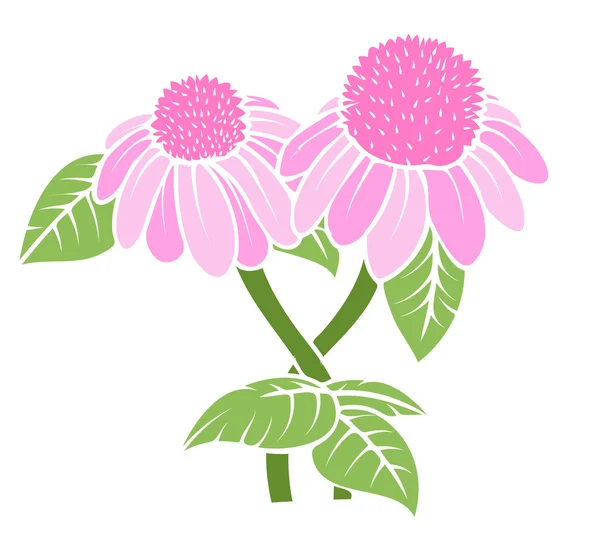 Vintage flores rosadas — Vector de stock