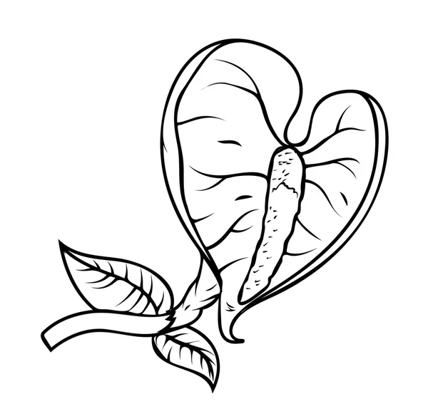 Rysunek gałąź kwiat retro liść — Wektor stockowy
