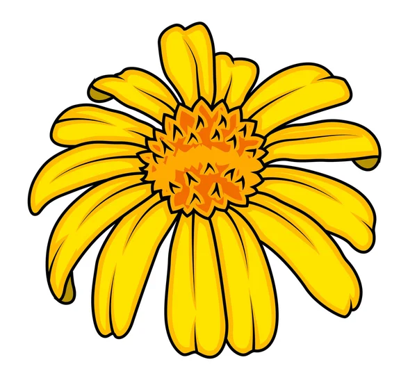 Wektor żółty kwiat projekt — Wektor stockowy