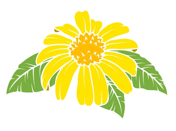 Vecteur de marguerite jaune — Image vectorielle