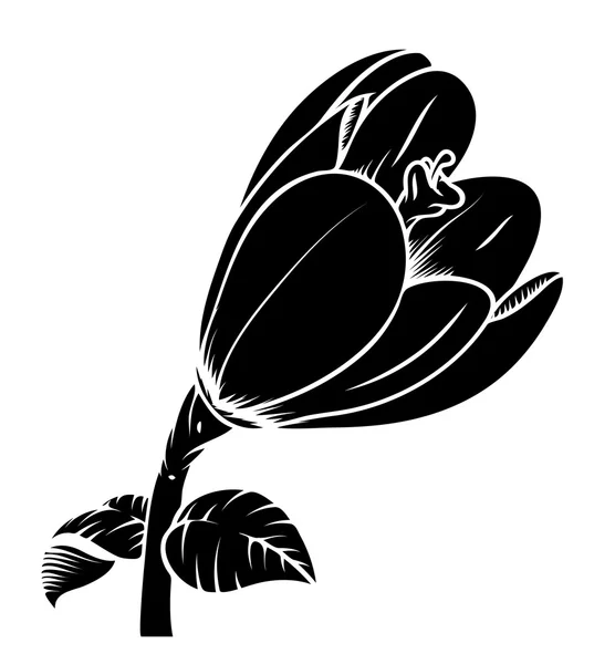 Lale çiçek şekli vektör — Stok Vektör
