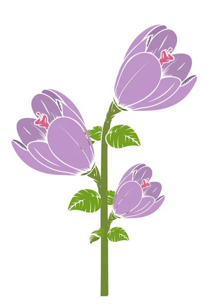 Vintage Tulip bloemen Branch Vector — Stockvector