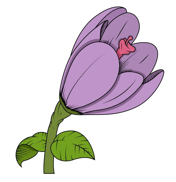 Tulpenblüte — Stockvektor