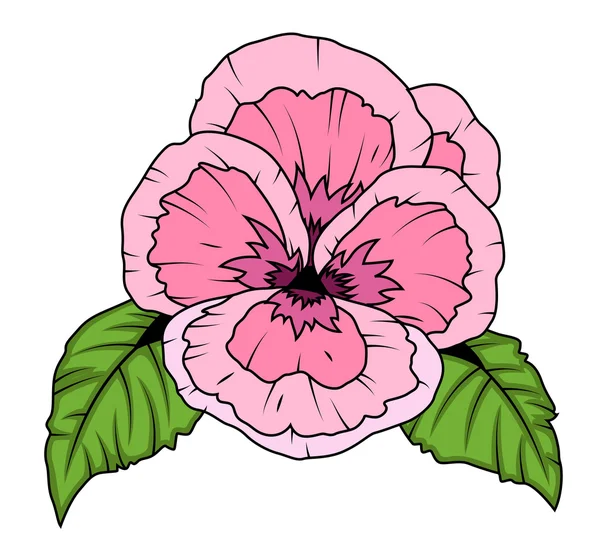 Vintage rosa Mohn Blume — Stockvektor