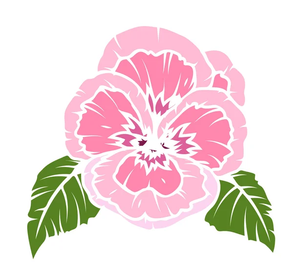 ケシの花のベクトル — ストックベクタ