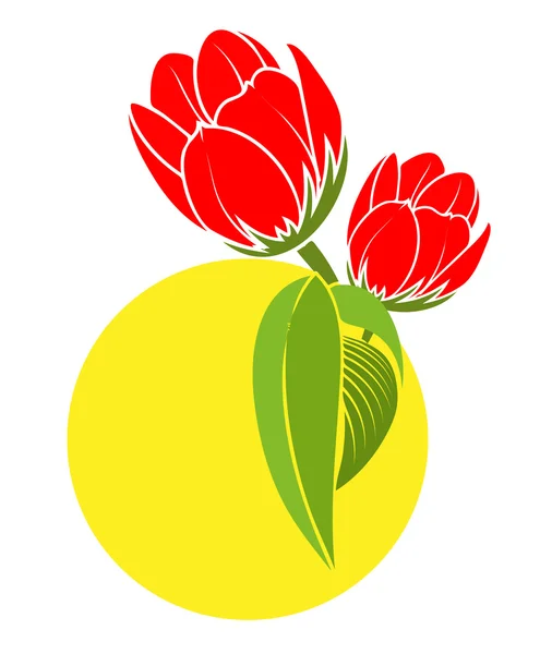Vector de flores de tulipán rojo — Archivo Imágenes Vectoriales
