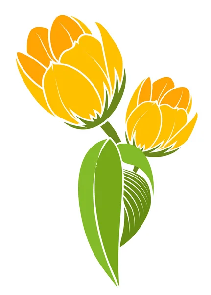 Gele tulp bloemen — Stockvector