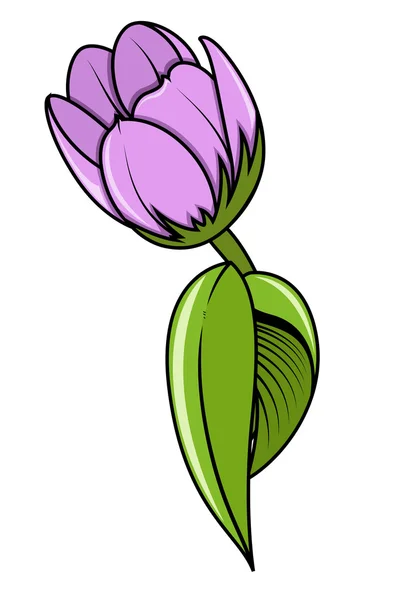 Tulipe rose — Image vectorielle