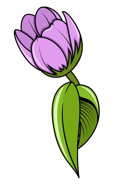 Pink Tulip — Stock Vector