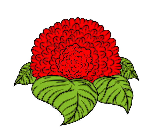 Красный цветок в зеленых листьях — стоковый вектор