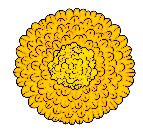 Gele bloem close-up — Stockvector