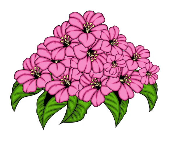 Ramo de flores rosadas — Vector de stock