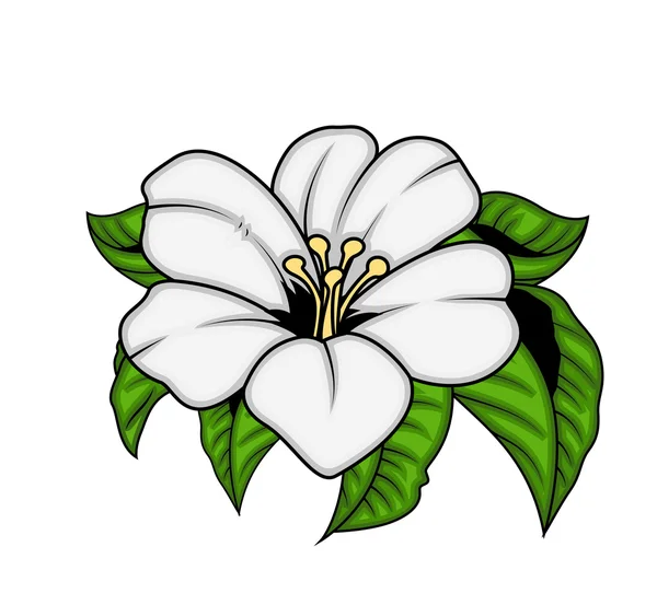 Vector de flor blanca — Vector de stock