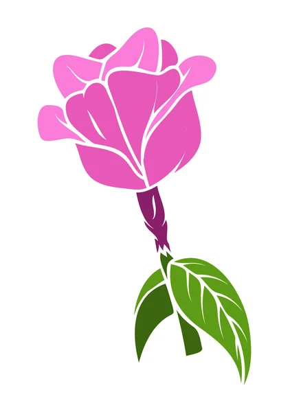 Rosa rosa vintage — Vettoriale Stock