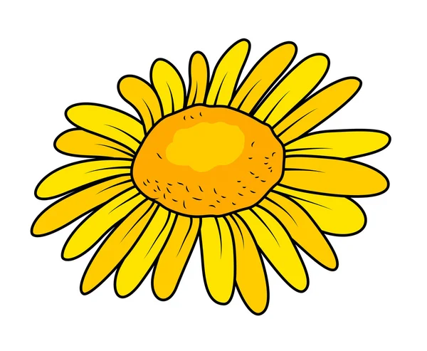 Желтый цветок крупным планом — стоковый вектор