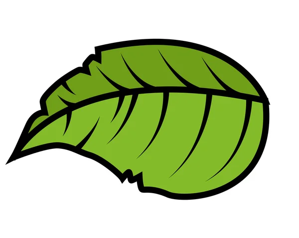 Green Spring Leaf Vector — Stockvector