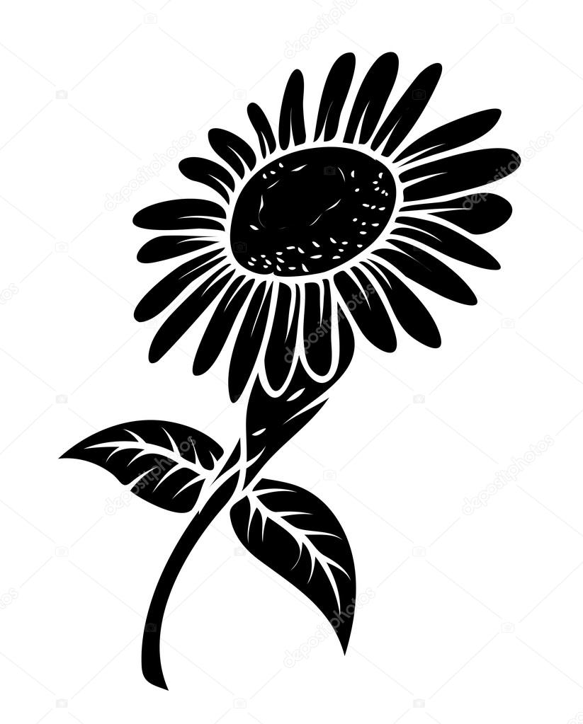 Black Sunflower — Stock Vector © baavli #64337973
