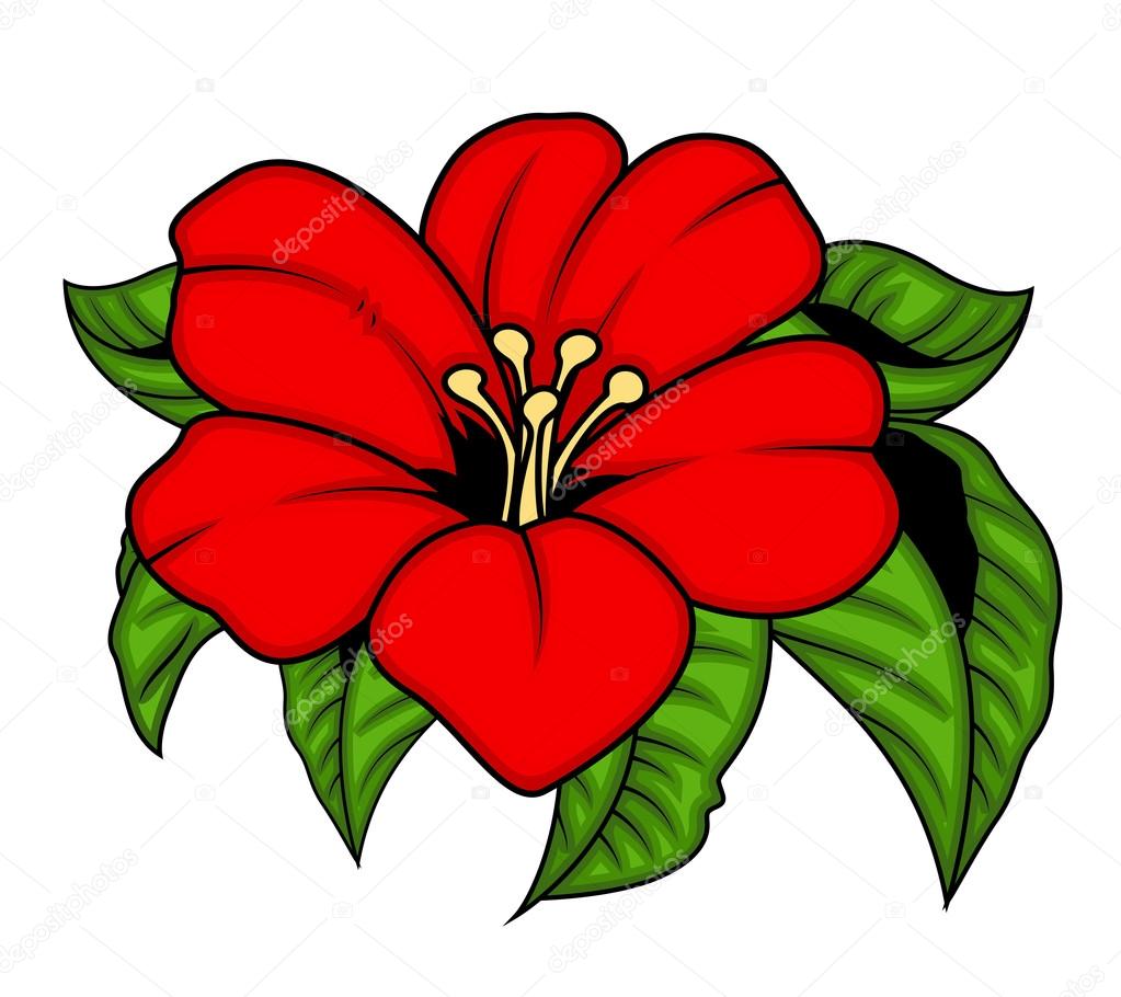 Red anemones flowers. Hand painted watercolor. Floral illustration for  design Stock Illustration by ©gringoann #473248352