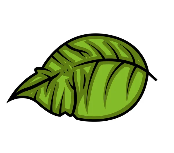 Spring Nature Green Leaf Shape Design — Stock Vector
