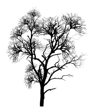 Ölü ağaç grafik tasarım vektör