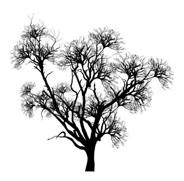 Ürkütücü ölü ağaç vektör çizim
