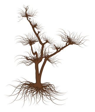 Ölü ağaç öğesi