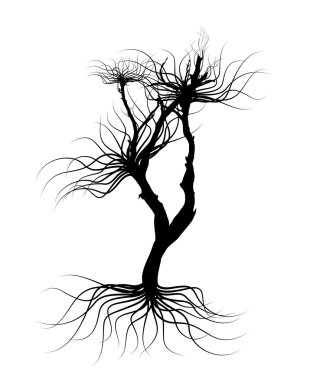 Perili ölü ağaçlar