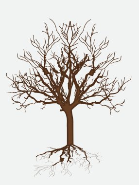 Ölü ağaç çizimi