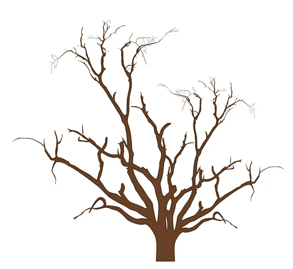 Illustrazione vettoriale di progettazione ad albero secco — Vettoriale Stock