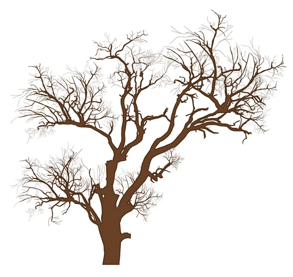 Árbol seco vector ilustración — Vector de stock