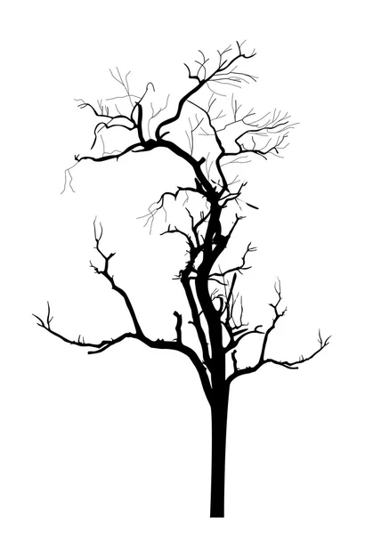 Silhouette ad albero secco — Vettoriale Stock