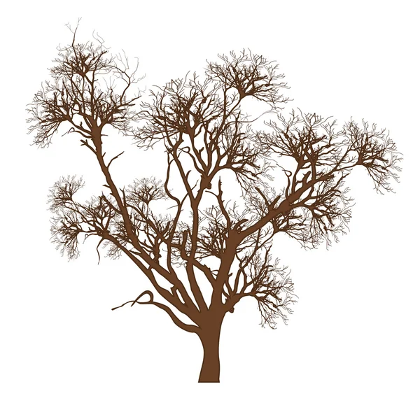 Dry Tree — Stock Vector