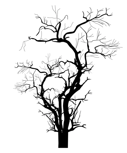 Shape of Dry Dead Tree — Stock Vector