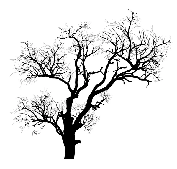 Forma de árbol muerto aterrador — Vector de stock