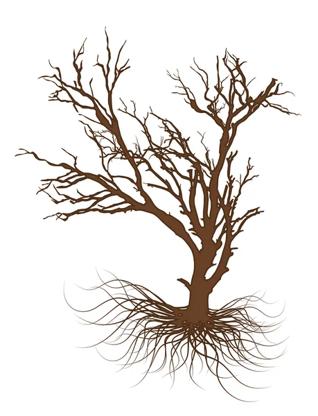 Kresba z uschlého stromu — Stockový vektor