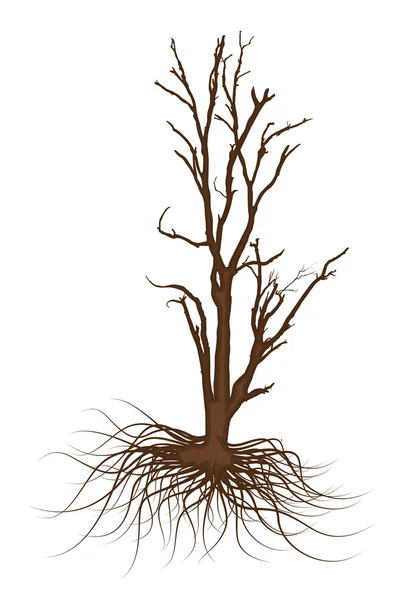 Halloween Scary Dead Tree - Stok Vektor