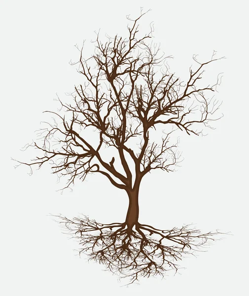 Vector de ramas de árbol muerto — Vector de stock