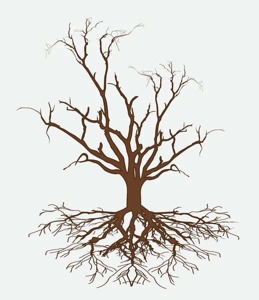 Árbol muerto Vector Ilustración — Vector de stock