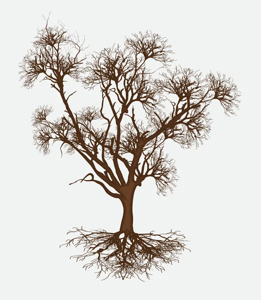 Mrtvý strom Design vektor — Stockový vektor