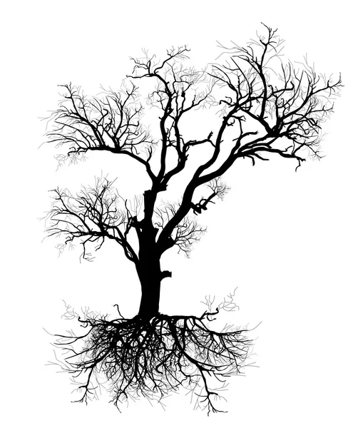 Forma del vector del árbol muerto — Archivo Imágenes Vectoriales