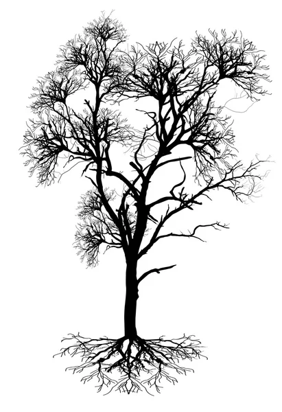 Dead Tree Shape Vector — Stock Vector