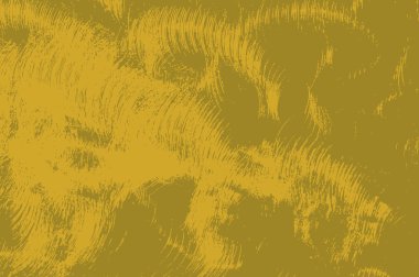 Pis doku duvar boyalı