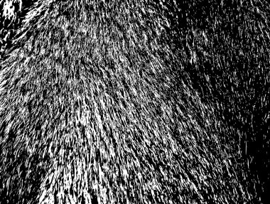 Vintage pis kürk doku