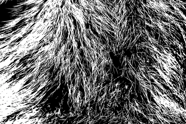 Grunge hår tekstur Baggrund – Stock-vektor