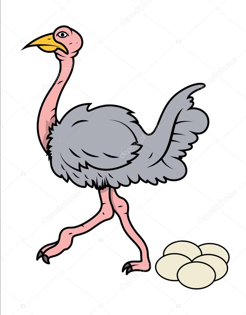 Cartoon ostrich eggs Cartoon Ostrich Eggs — Stock Vector © baavli