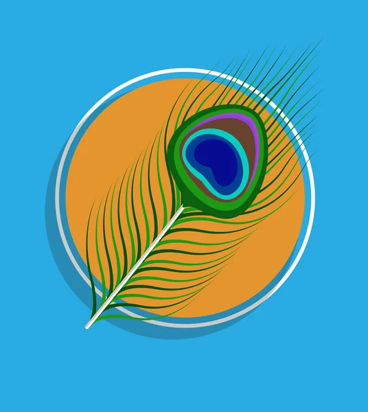 Peacock Feather fond vectoriel — Image vectorielle