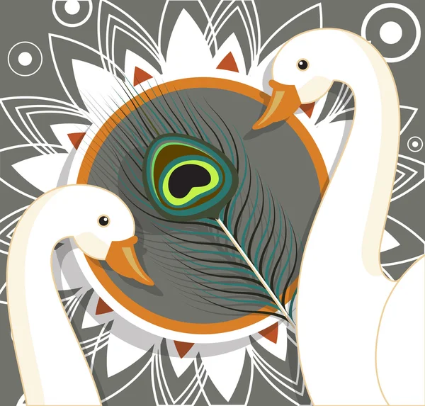 Swan Birds with Peacock Feather Background Vector — Stok Vektör