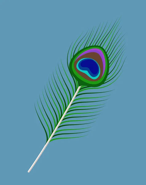 Peacock Feather Vector Clipart — Stock vektor