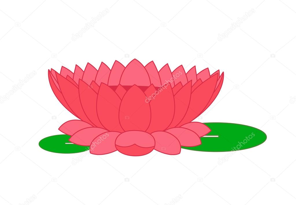 Lotus Flower Vector Stock Vector by ©baavli 76714009